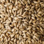 Pale Malt